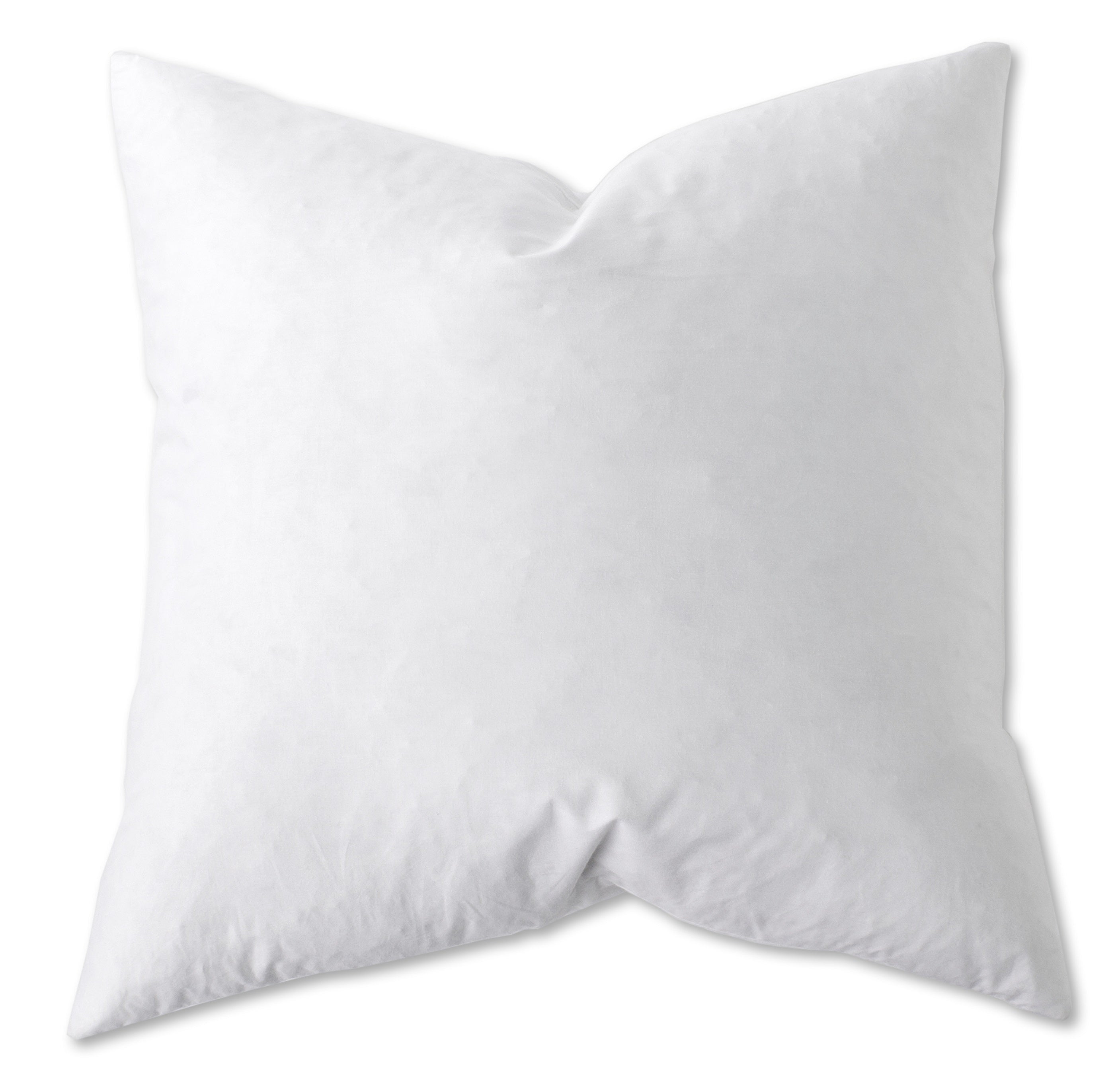 19x19 Pillow Form